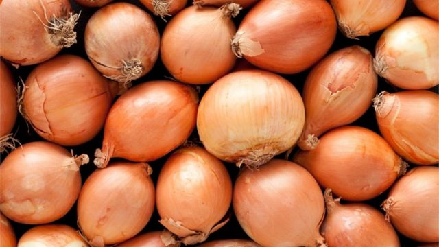 بصل مستورد إلى لبنان يثير القلق