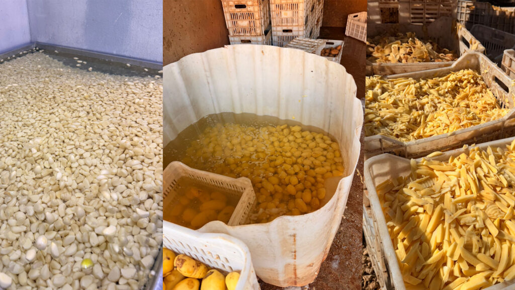 دهم معمل لبيع الثوم والبطاطا المقشّرة في سهل قب الياس وتوقيف صاحبه