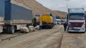 رئيس نقابة مزارعي البطاطا: أزمة الشاحنات تهدد الصادرات الزراعية إلى الخليج